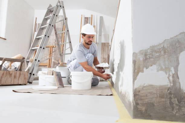 Best Eco-Friendly and Low-VOC Painting  in , WA