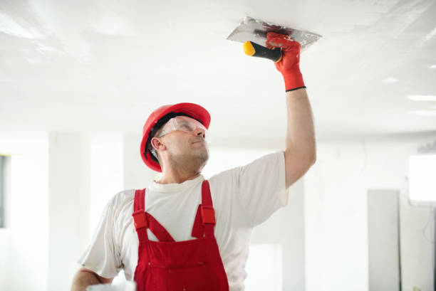 Best Wallpaper Removal and Painting  in , WA